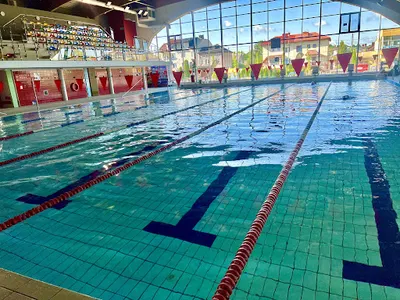 Szkoła pływania ASiR REKINEK